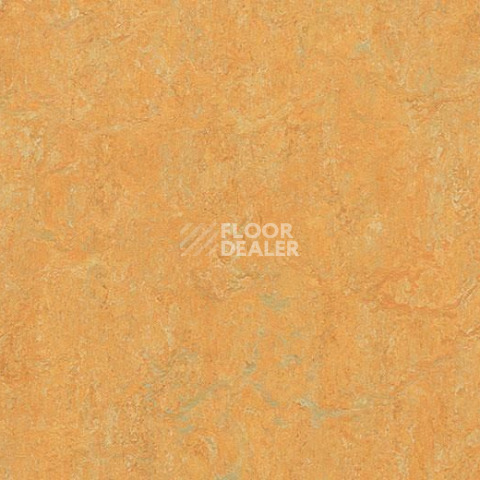 Линолеум Forbo Marmoleum Marbled Real 3847 Golden Saffron фото 1 | FLOORDEALER